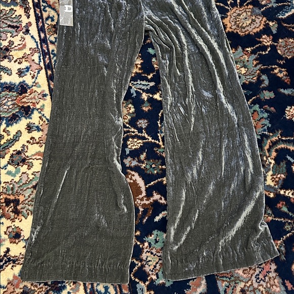 NWT Double D Ranch Velvet Pants in Silvered Sleigh - Picture 10 of 11